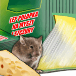 LEP NA MYSZY PUŁAPKA LEPOWA ŁAPKA SZCZURY I GRYZONIE Z MOCNYM KLEJEM 30 SZT